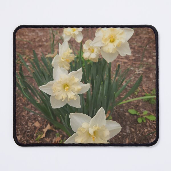 Item preview, White Daffodils designed and sold by LittleLovelies.