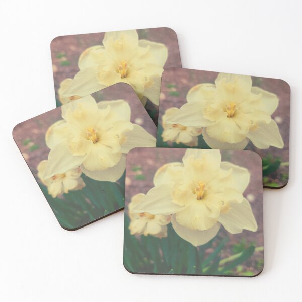 Item preview, Close Up White Daffodil designed and sold by LittleLovelies.