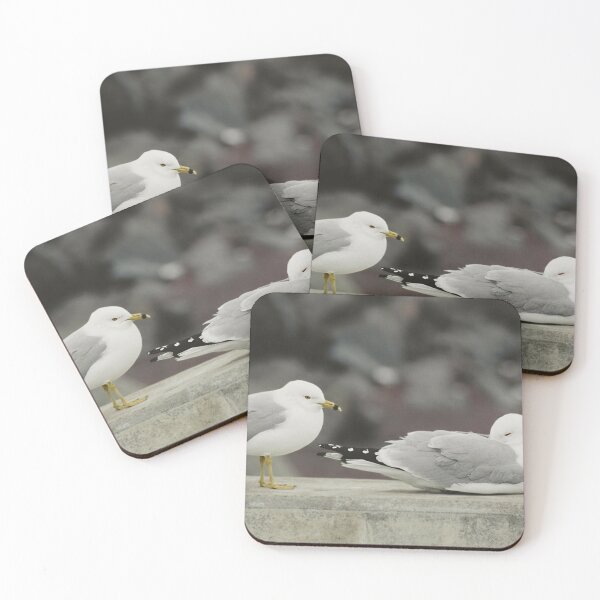 Item preview, Seagull break time. designed and sold by WeatherShot.