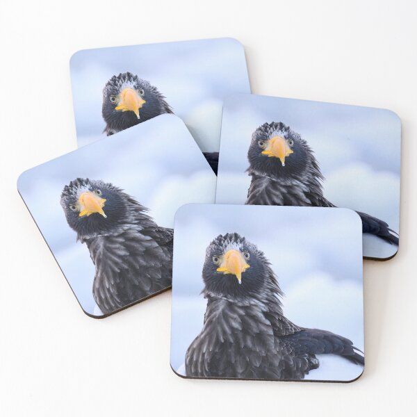 Item preview, Steller's sea eagle in portrait: The largest eagle in the world designed and sold by NaturfotoEdel.