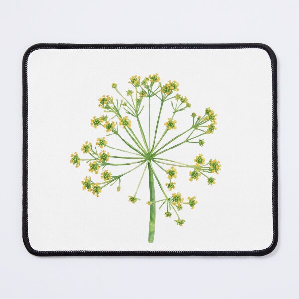 Item preview, Dill umbel designed and sold by uunaa.