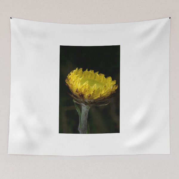 Item preview, Everlasting designed and sold by GP1746.