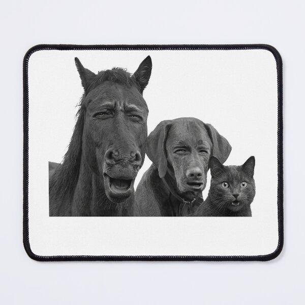 Item preview, Funny Laughing Horse Dog and Cat Trio meme designed and sold by TeeARTHY.