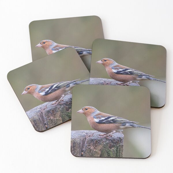 Item preview, Chaffinch Perched on a Tree Stump designed and sold by Martin Stokes Photography.