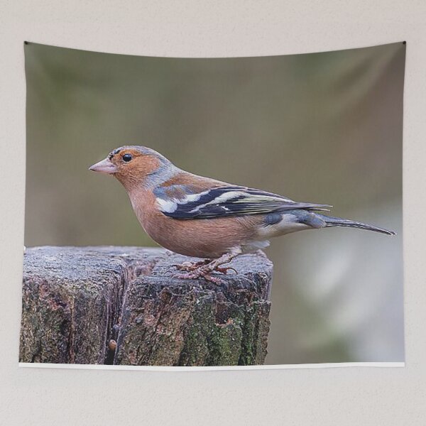 Item preview, Chaffinch Perched on a Tree Stump designed and sold by Martin Stokes Photography.
