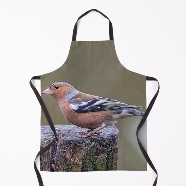 Item preview, Chaffinch Perched on a Tree Stump designed and sold by Martin Stokes Photography.