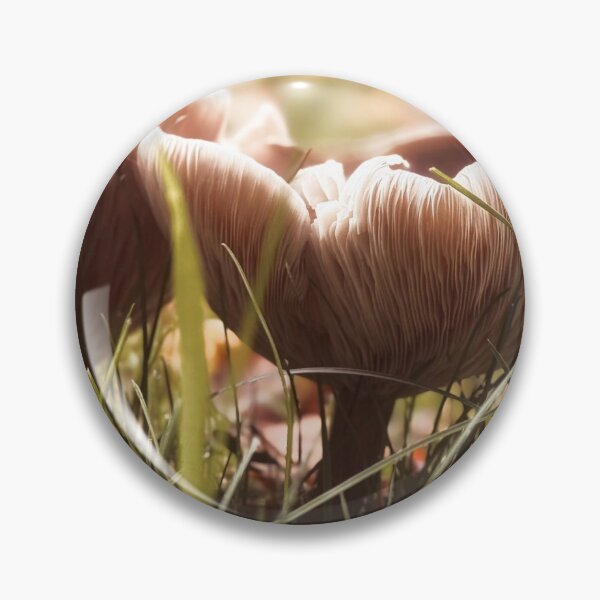 Artikelvorschau, Mushrooms in Soft Forest Light – Nature Macro Photography entworfen und verkauft von Sarah – Fine Art & Photography.