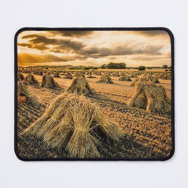 Item preview, Stooks of Wheat Drying, Wiltshire designed and sold by Martin Stokes Photography.