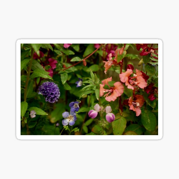 Wildflower Garden In The Morning Sticker