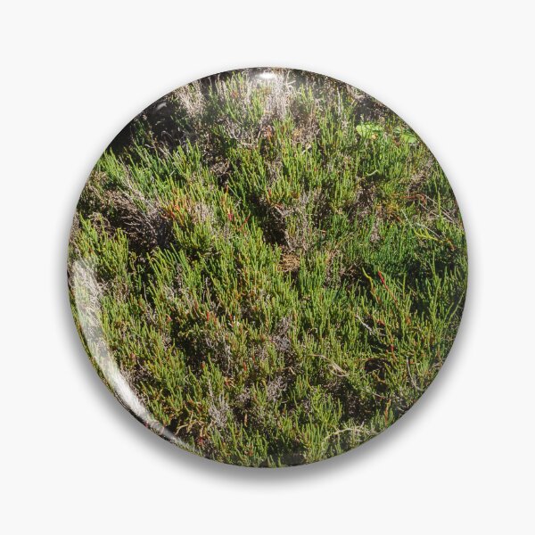 Item preview, Coastal Succulent Groundcover and Drought-Resistant Green Texture in Sunny Seaside Landscape designed and sold by Nmallia.