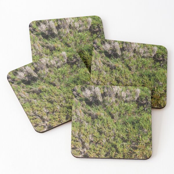 Item preview, Coastal Succulent Groundcover and Drought-Resistant Green Texture in Sunny Seaside Landscape designed and sold by Nmallia.