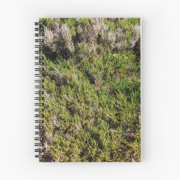 Item preview, Coastal Succulent Groundcover and Drought-Resistant Green Texture in Sunny Seaside Landscape designed and sold by Nmallia.
