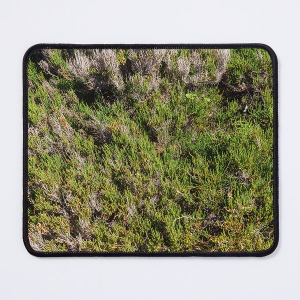 Item preview, Coastal Succulent Groundcover and Drought-Resistant Green Texture in Sunny Seaside Landscape designed and sold by Nmallia.