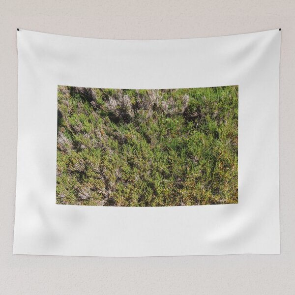 Item preview, Coastal Succulent Groundcover and Drought-Resistant Green Texture in Sunny Seaside Landscape designed and sold by Nmallia.