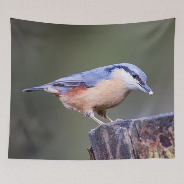 Item preview, Nuthatch Feeding on a Tree Stump designed and sold by Martin Stokes Photography.