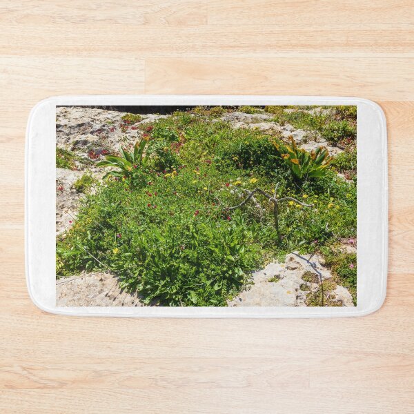 Item preview, Coastal Wildflowers On A Rocky Shore With Lush Green Vegetation And Sunlit Rocks designed and sold by Nmallia.