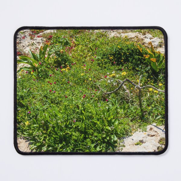 Item preview, Coastal Wildflowers On A Rocky Shore With Lush Green Vegetation And Sunlit Rocks designed and sold by Nmallia.