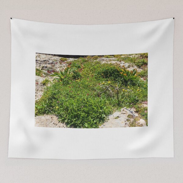 Item preview, Coastal Wildflowers On A Rocky Shore With Lush Green Vegetation And Sunlit Rocks designed and sold by Nmallia.