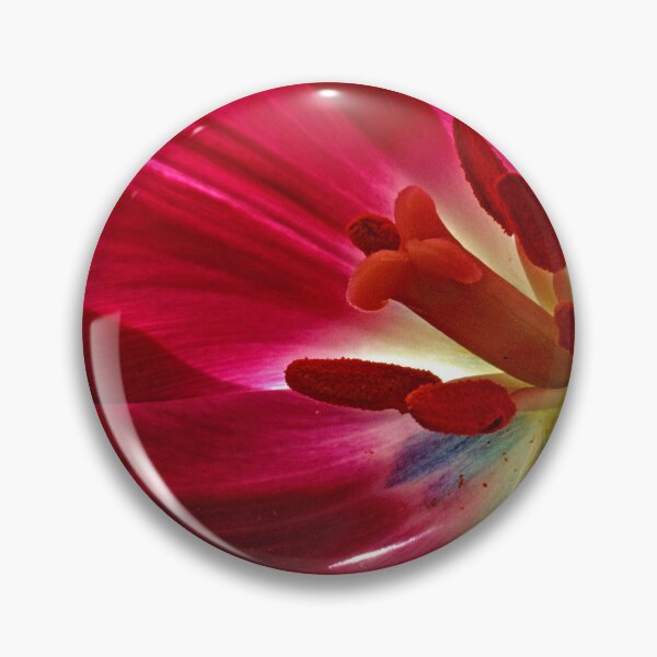 Item preview, Darwinian Tulip in Full Bloom with Reproductive Structures designed and sold by AMacGPhilly.