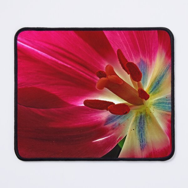 Item preview, Darwinian Tulip in Full Bloom with Reproductive Structures designed and sold by AMacGPhilly.