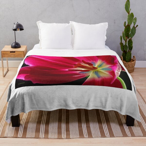 Item preview, Darwinian Tulip in Full Bloom with Reproductive Structures designed and sold by AMacGPhilly.