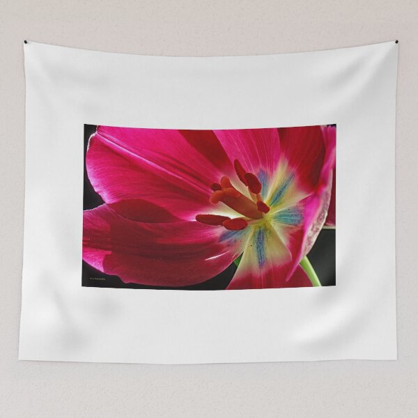 Item preview, Darwinian Tulip in Full Bloom with Reproductive Structures designed and sold by AMacGPhilly.