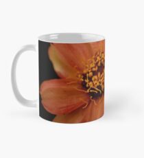 Faded Zinnia Classic Mug