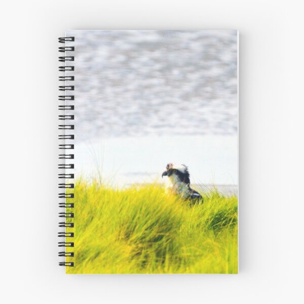 Item preview, Osprey Hiding in Tall Grasses designed and sold by ginawaltersdorf.
