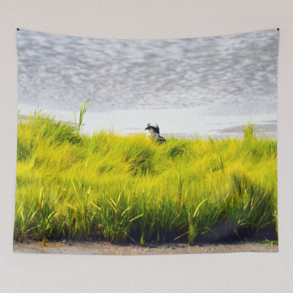 Item preview, Osprey Hiding in Tall Grasses designed and sold by ginawaltersdorf.