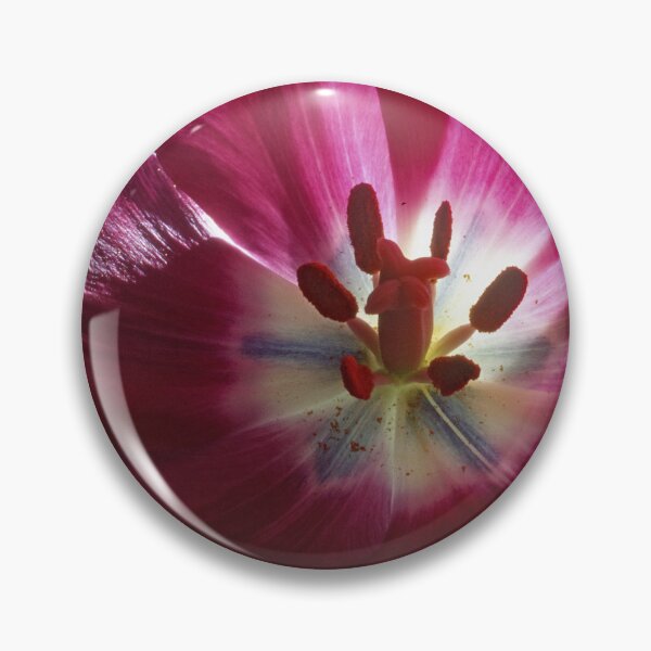 Item preview, Darwinian Tulip in Full Bloom with Reproductive Structures designed and sold by AMacGPhilly.