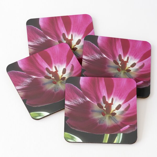 Item preview, Darwinian Tulip in Full Bloom with Reproductive Structures designed and sold by AMacGPhilly.