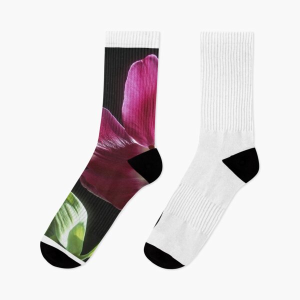 Item preview, Darwinian Tulip in Full Bloom with Reproductive Structures designed and sold by AMacGPhilly.