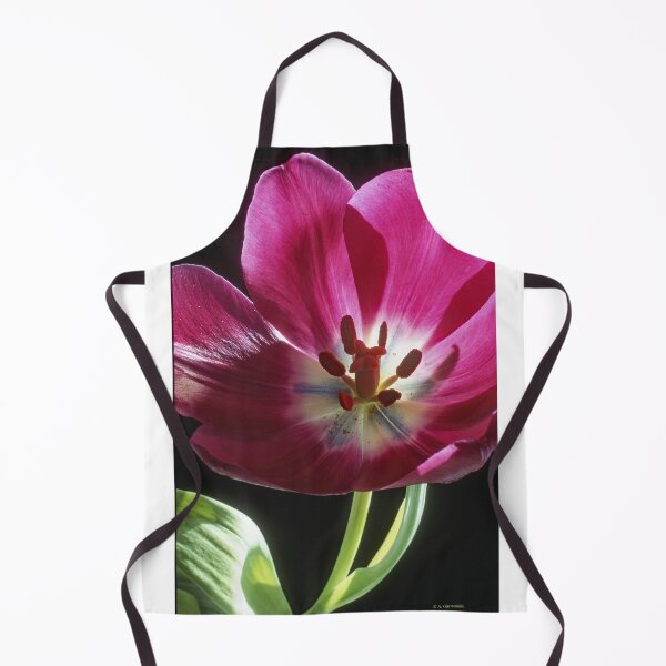 Item preview, Darwinian Tulip in Full Bloom with Reproductive Structures designed and sold by AMacGPhilly.
