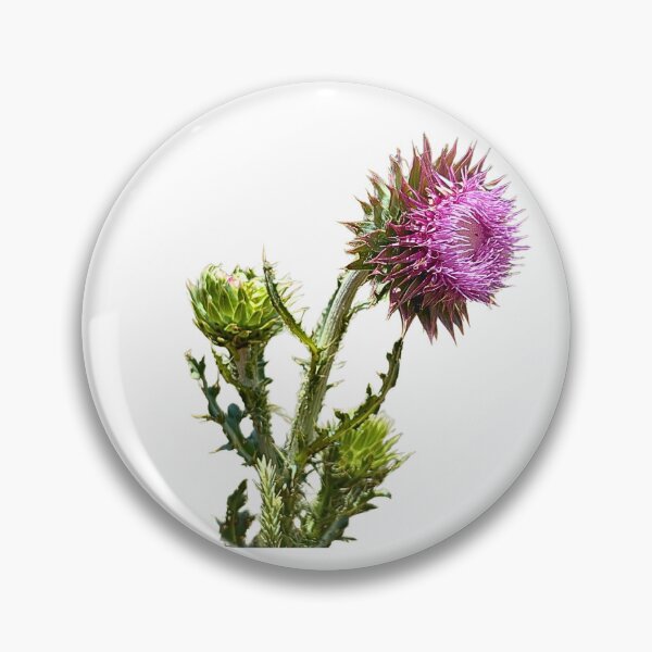 Item preview, Purple Thistle Flower  designed and sold by The Palmisano Collective .