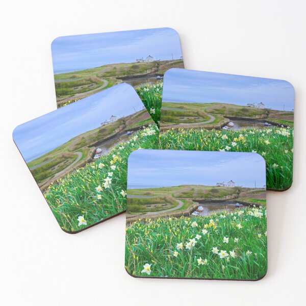 Item preview, Seaton Sluice Harbour Daffodils designed and sold by Violaman.
