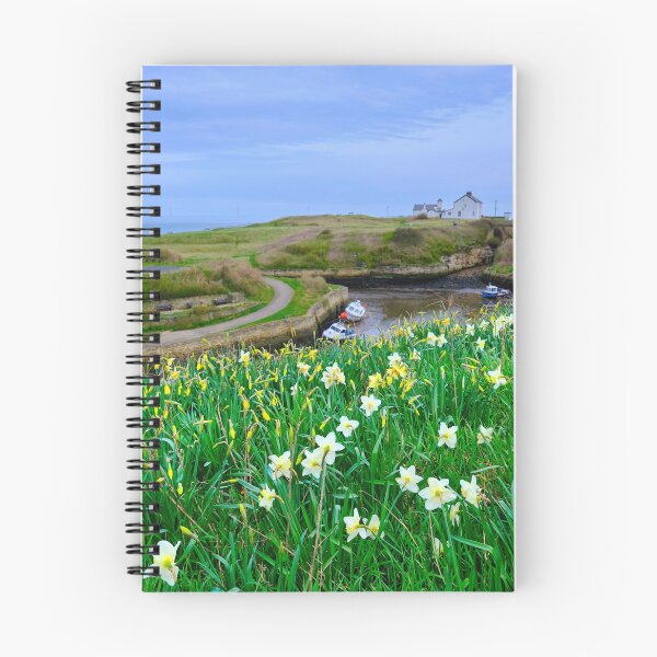 Item preview, Seaton Sluice Harbour Daffodils designed and sold by Violaman.