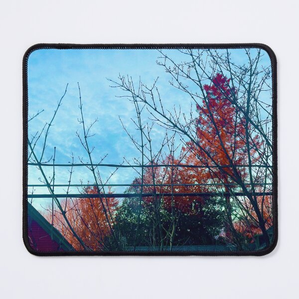 Item preview, Colorful tree nature photography  designed and sold by Natalia-Designs.