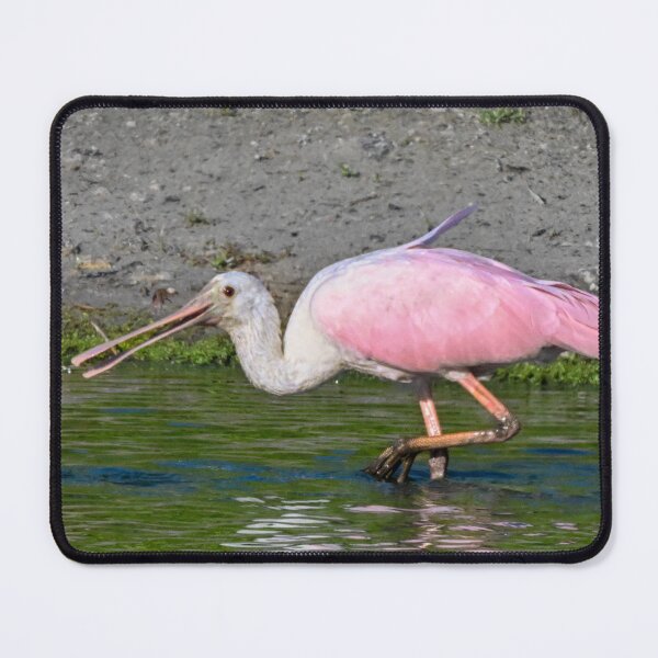 Item preview, Taking a drink  designed and sold by Glennphotos.