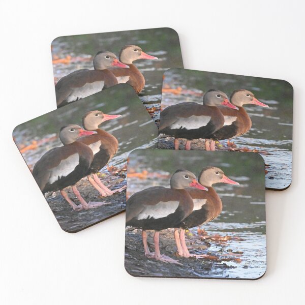 Item preview, Standing on the bank  designed and sold by Glennphotos.