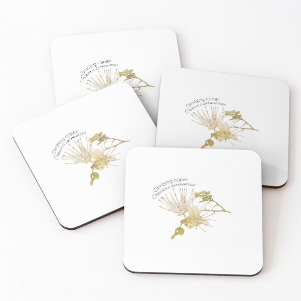 Item preview, Climbing caper designed and sold by Our Native Plants .