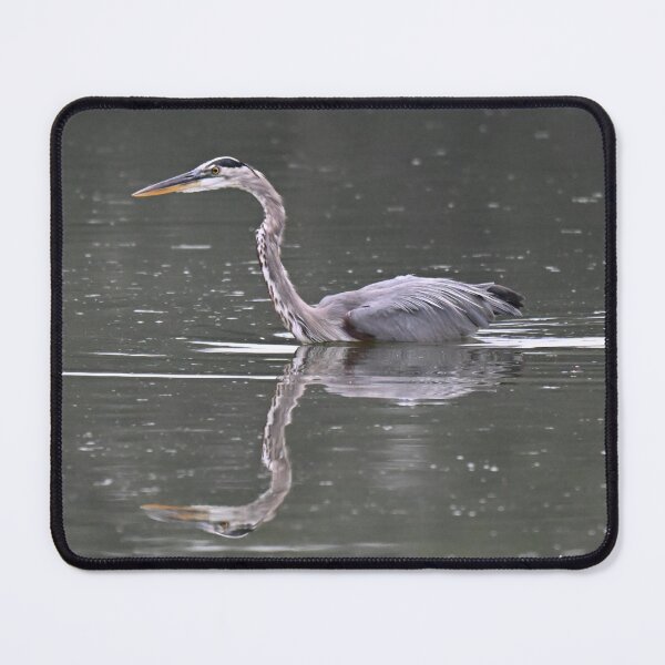 Item preview, Searching  designed and sold by Glennphotos.