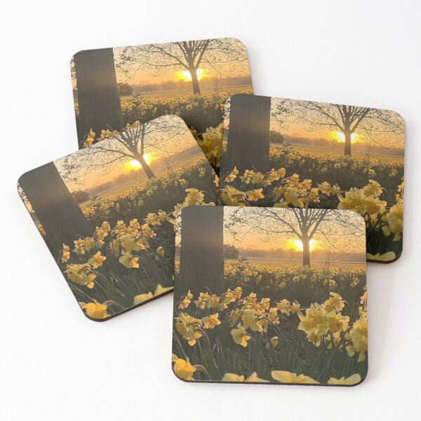 Item preview, Golden Dafodils in a Spring Sunrise, London. designed and sold by The Running London Photographer.