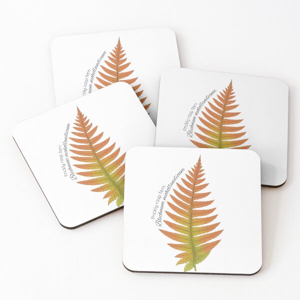 Item preview, Prickly rasp fern designed and sold by Our Native Plants .