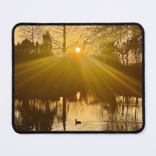 Item preview, Spring Golden Hour in The Regent’s Park, London designed and sold by The Running London Photographer.