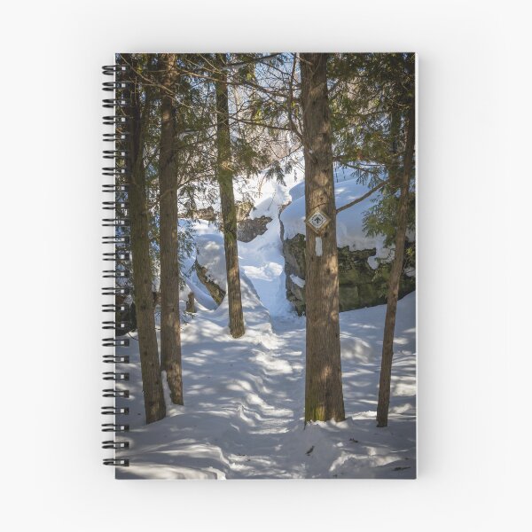 Item preview, Snowy Trail through Silver Creek Conservation in Ontario designed and sold by jrtwynam.