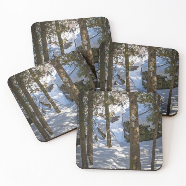 Item preview, Snowy Trail through Silver Creek Conservation in Ontario designed and sold by jrtwynam.