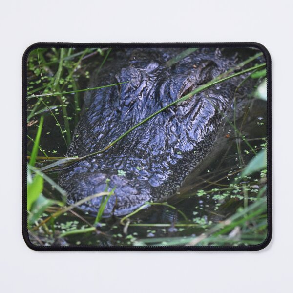 Item preview, Heads up designed and sold by Glennphotos.