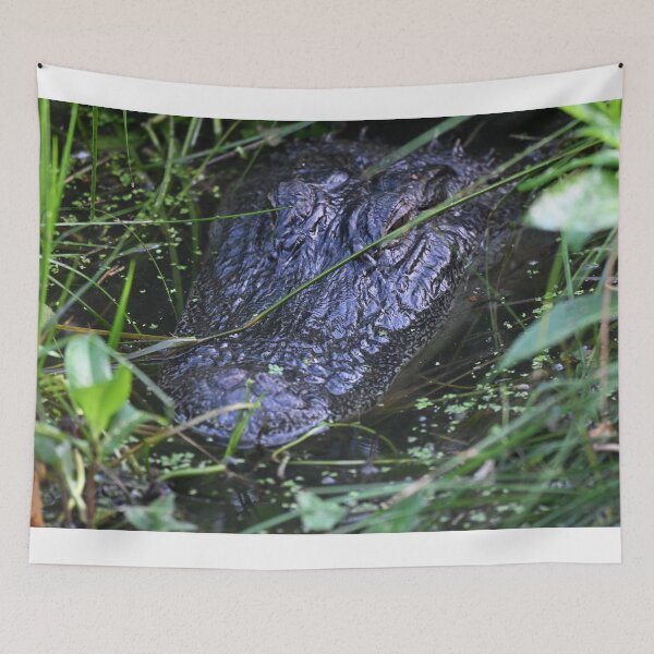Item preview, Heads up designed and sold by Glennphotos.