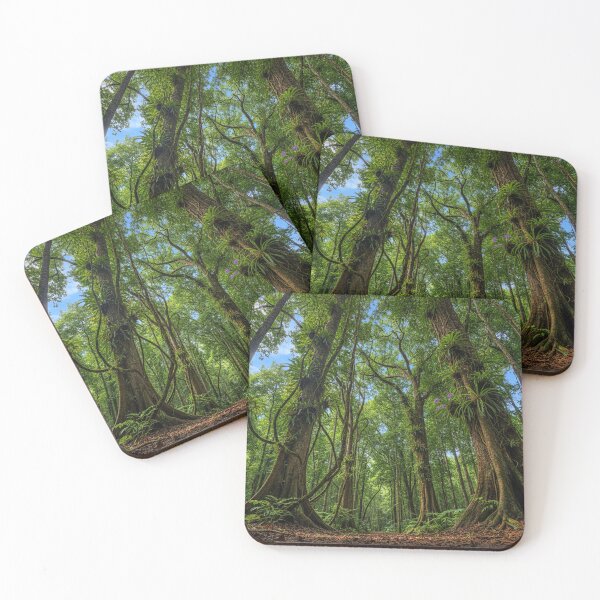 Item preview, Towering Trees in a Central American Tropical Rainforest designed and sold by YuckyCat.