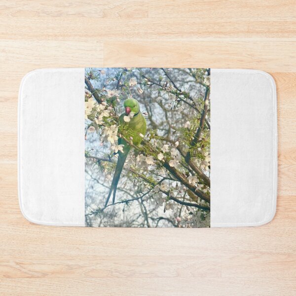 Item preview, London Parakeet in Spring Blossom, 2026 designed and sold by The Running London Photographer.